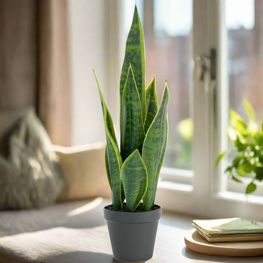 Artificial Potted Mother-In-Laws Tongue