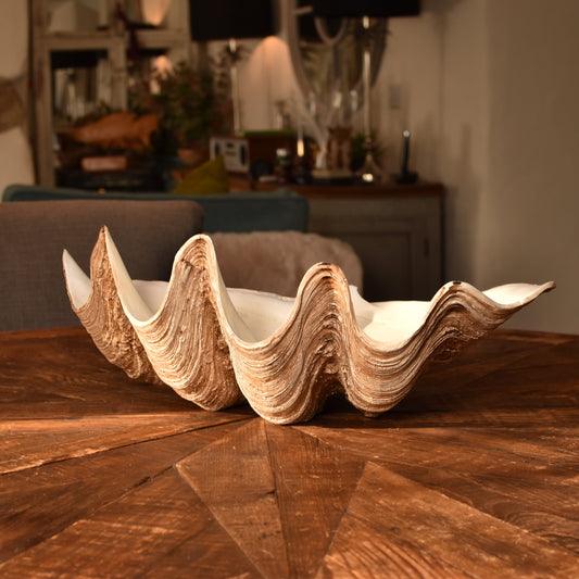 Decorative Clam Bowl - Large