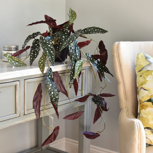 Large Trailing Alocasia Artificial Plant