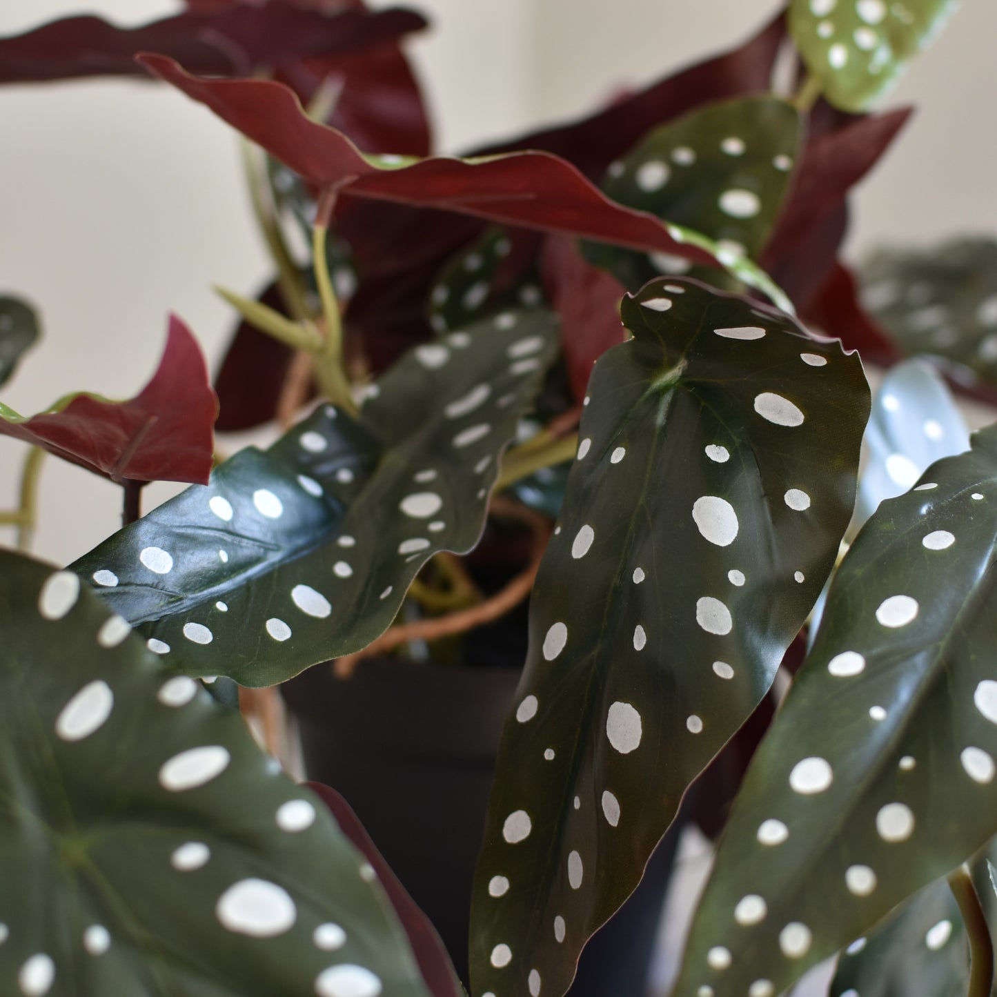 Large Trailing Alocasia Artificial Plant