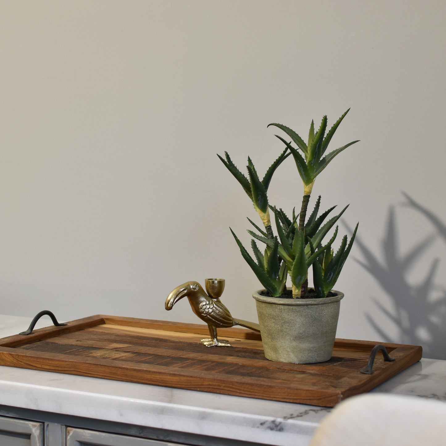 Tall Potted Succulent