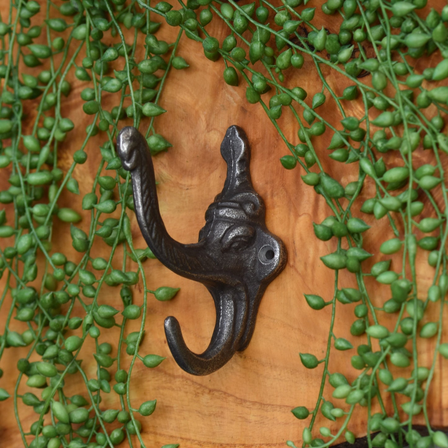 Circus Elephant Hat & Coat Hook