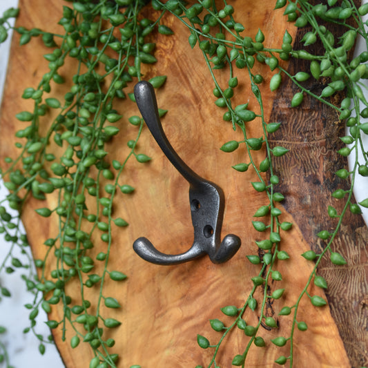 Classic Hat & Double Hook