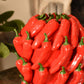 Chilli Pepper Vase
