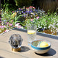 Diamond Design Glass LED Battery Light - Grey