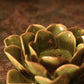 Green & Brown Flower T Light Holders - Pair