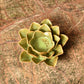 Green & Brown Flower T Light Holders - Pair