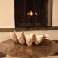 Decorative Clam Bowl - Large