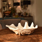 Decorative Clam Bowl - Large