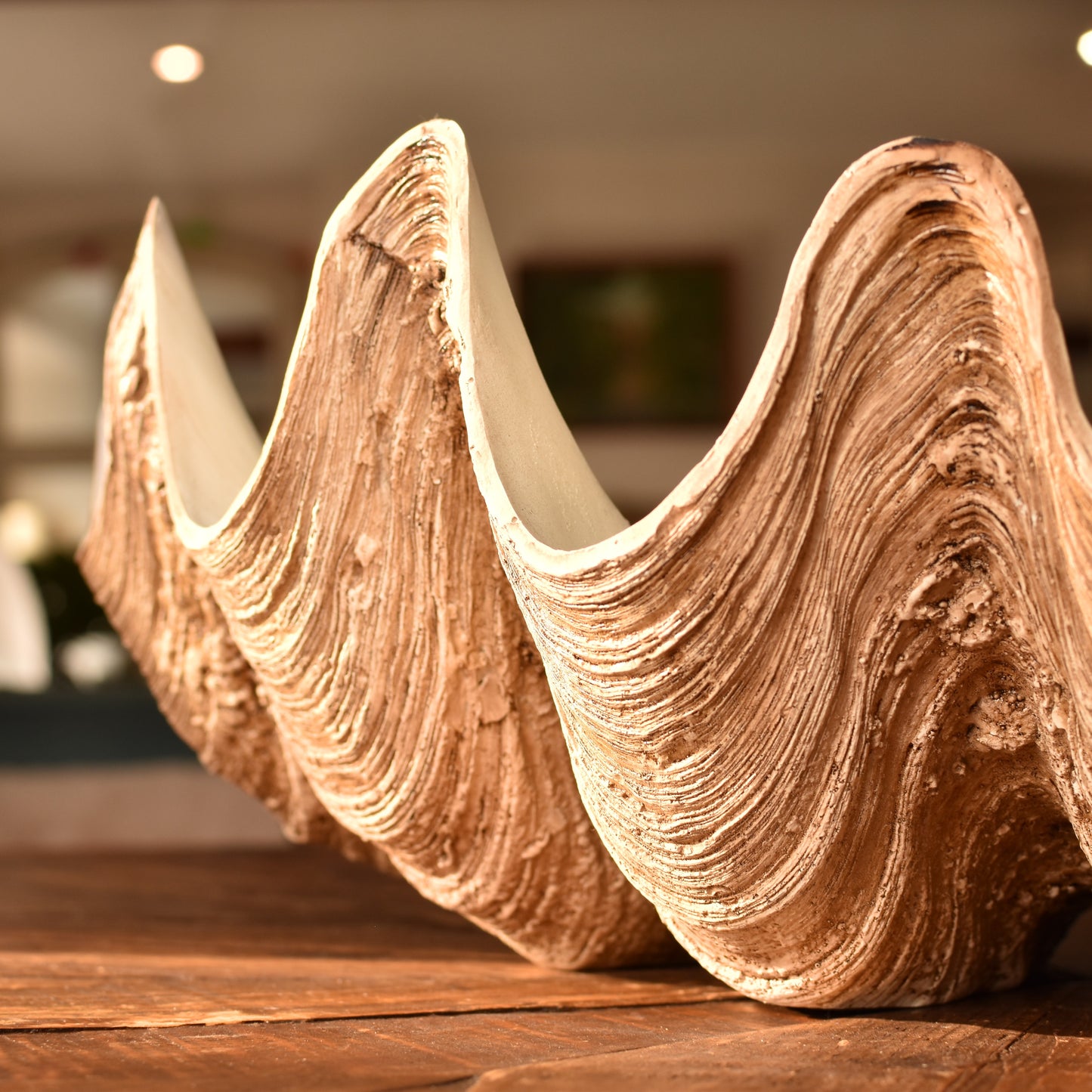 Decorative Clam Bowl - Large