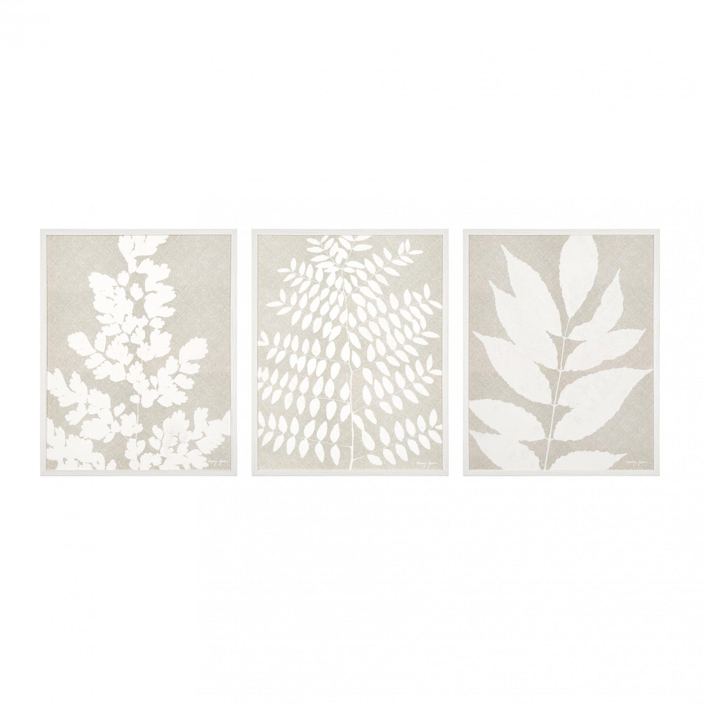 Leaves Triptych In Neutral