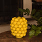 Lemon Vase - Large
