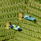Carla Droplet Earring - Greens & Blues