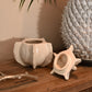 Seed Pod Trinket - Storage Pot