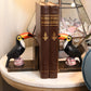 Pair of Toucan Bookends