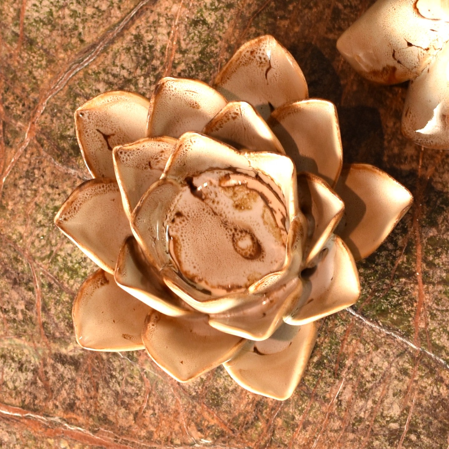 Cream & Brown Flower T Light Holders - Pair