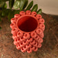 Raspberry Vase