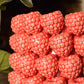 Raspberry Vase