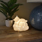 Ted Night Light