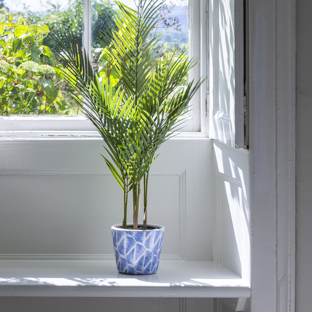 Small Potted Palm