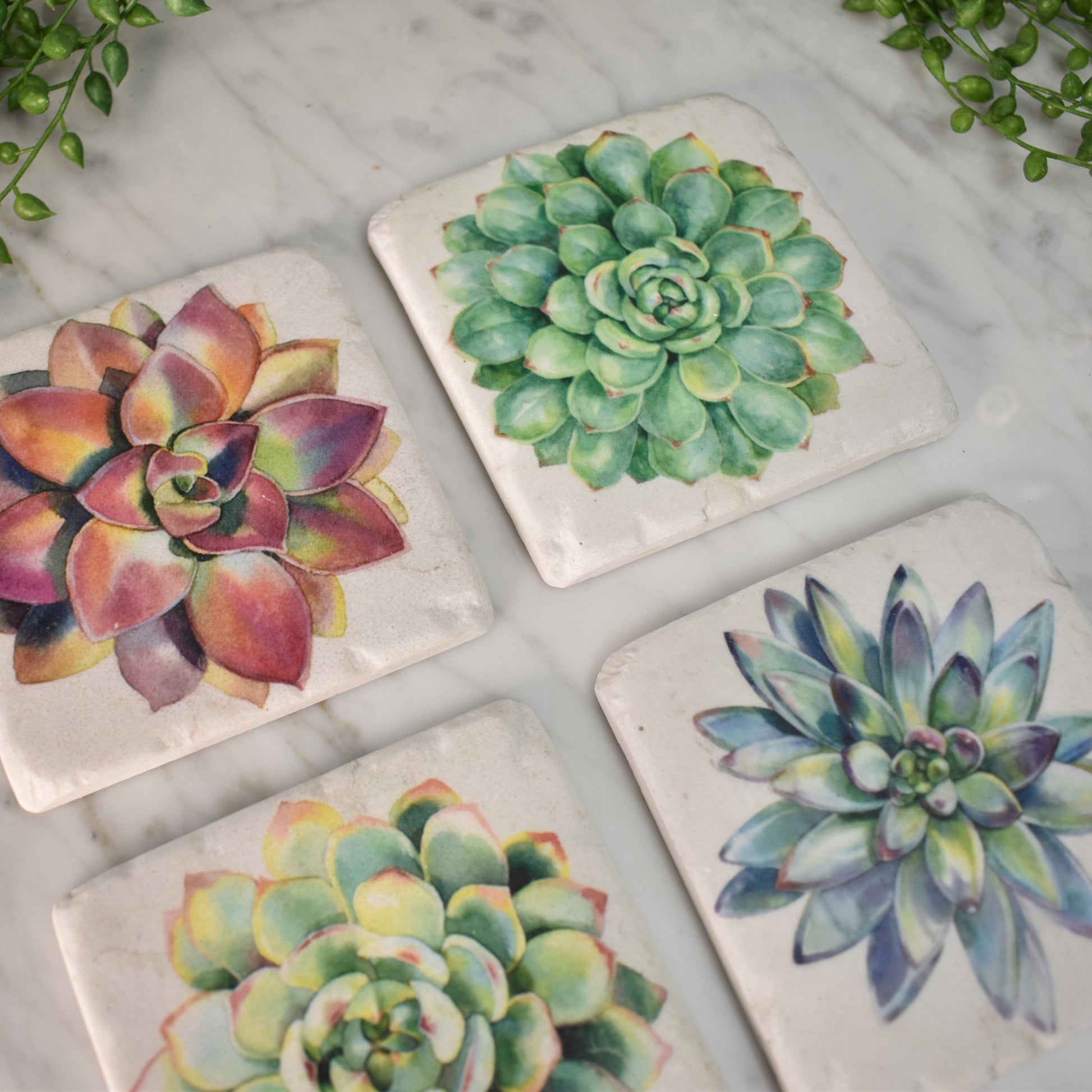 succulent coasters Succulent Coasters