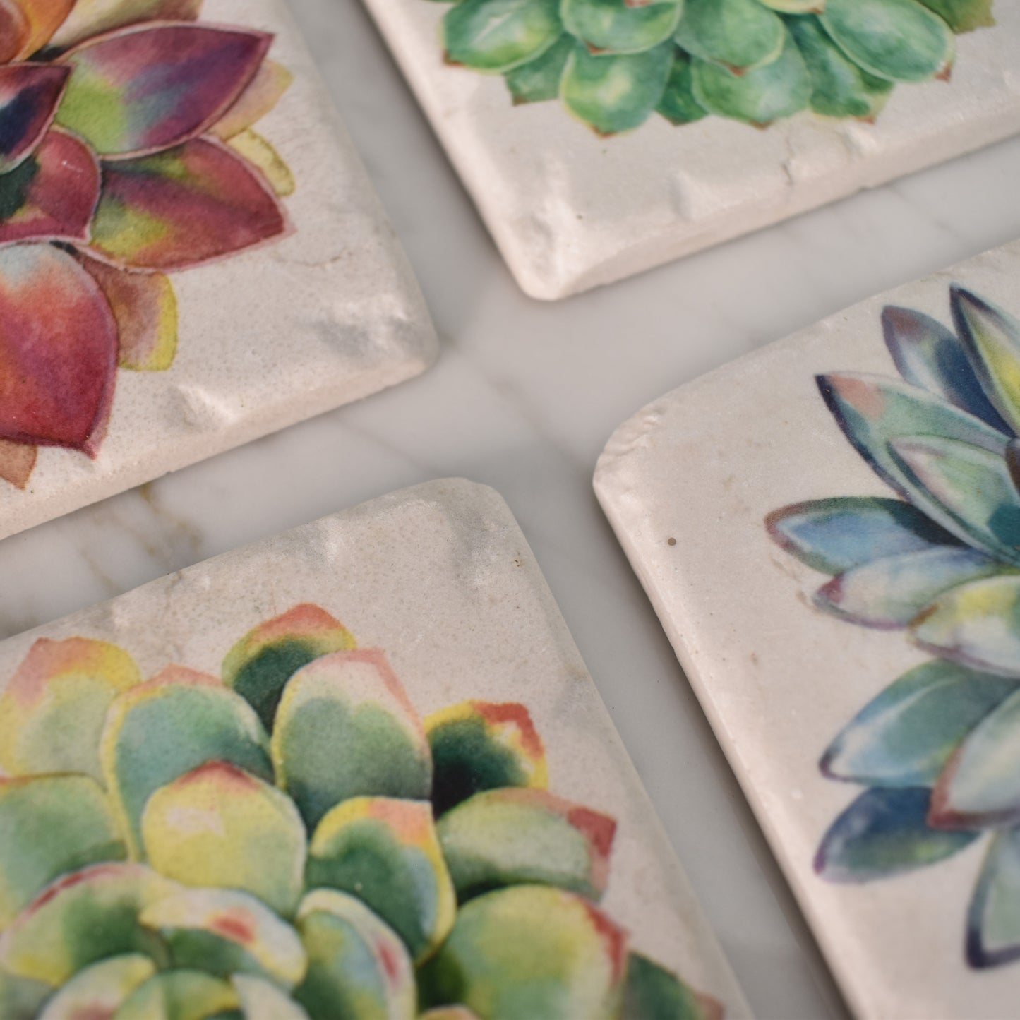 Succulent Coasters - Set of Four