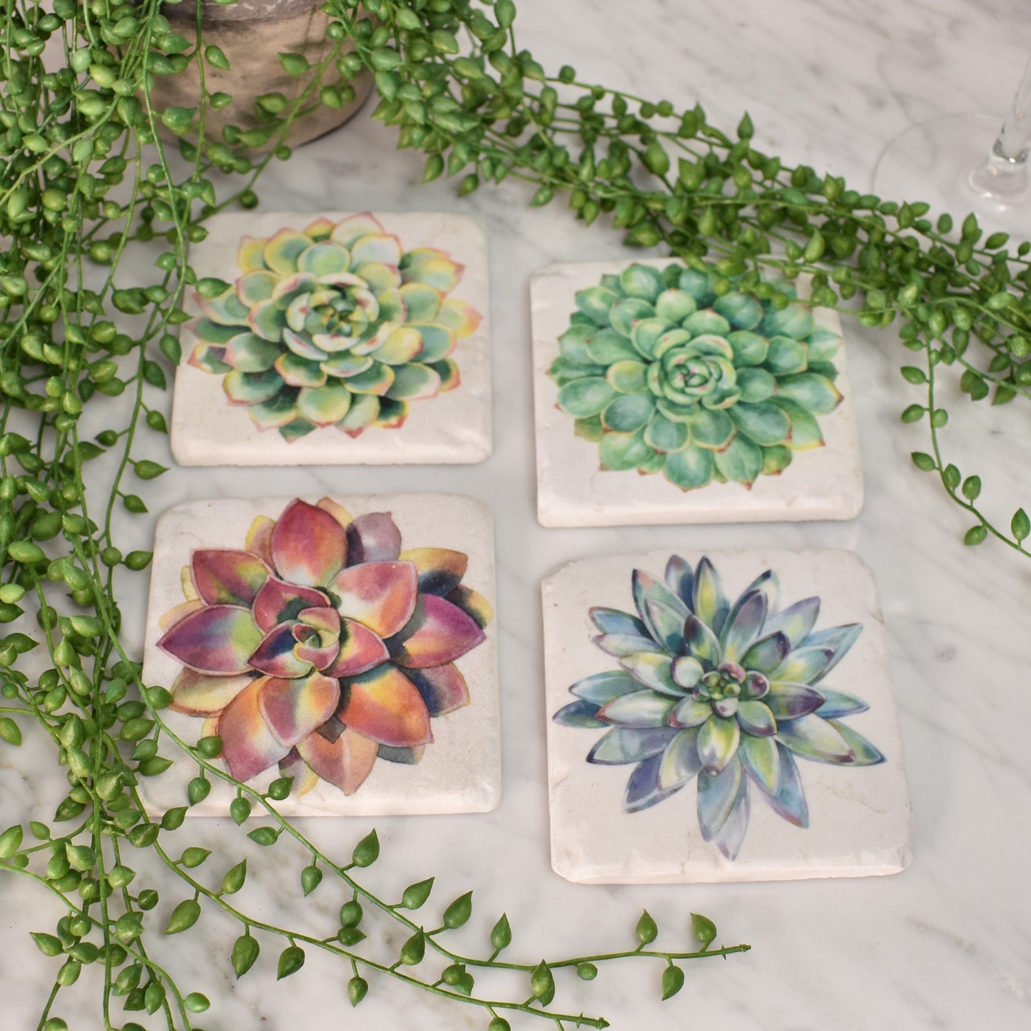 Succulent Coasters - Set of Four