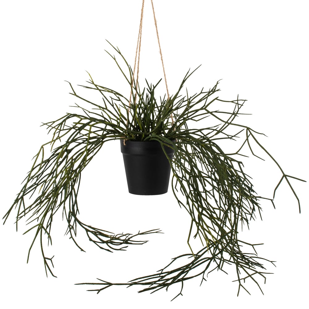 Artificial Potted Trailing Grass
